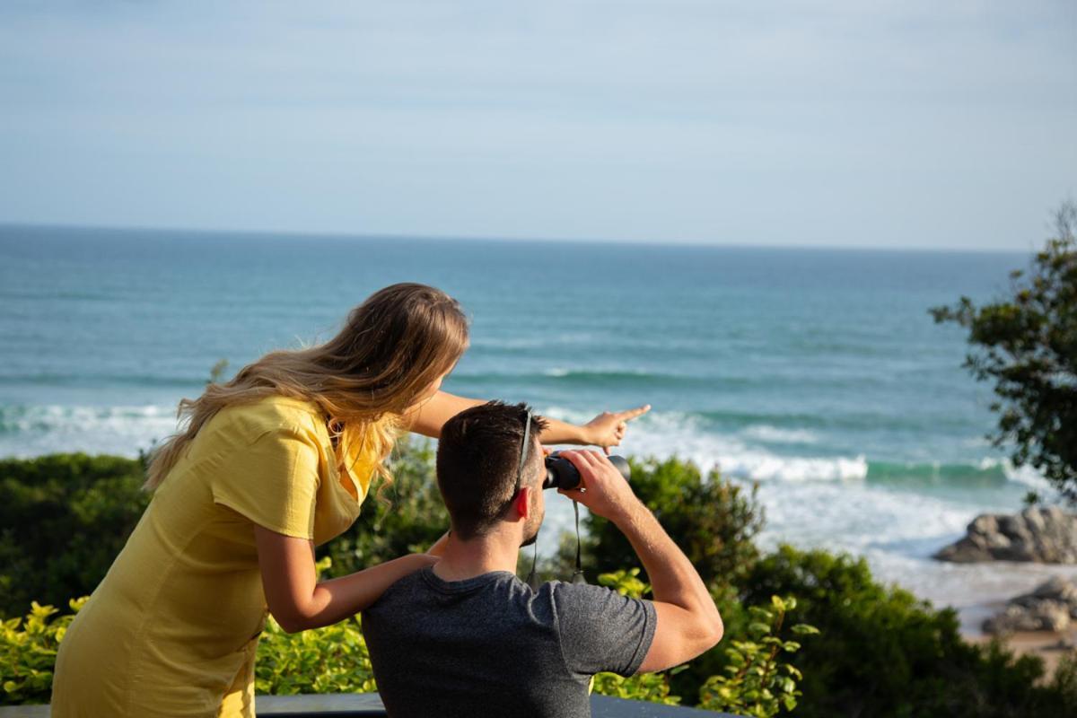 Wilderness Beach House Backpackers Lodge Buitenkant foto