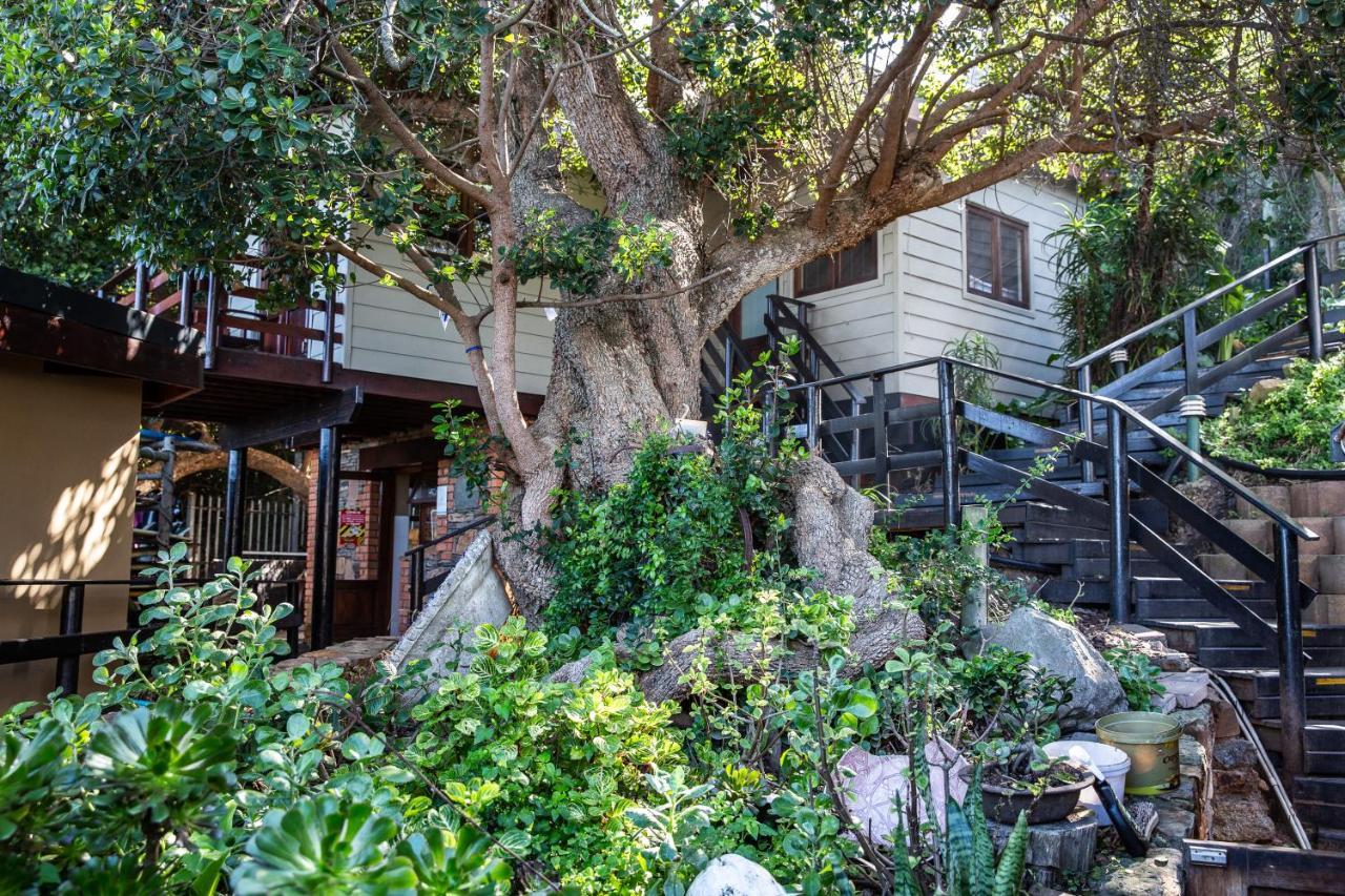 Wilderness Beach House Backpackers Lodge Buitenkant foto