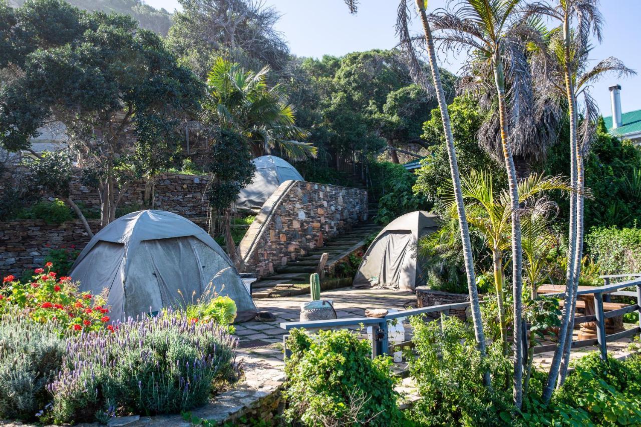 Wilderness Beach House Backpackers Lodge Buitenkant foto